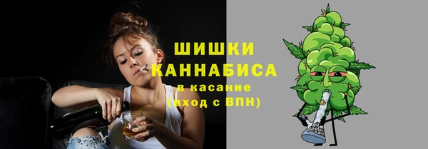 дурь Сатка