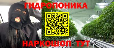 прущие крисы Долгопрудный