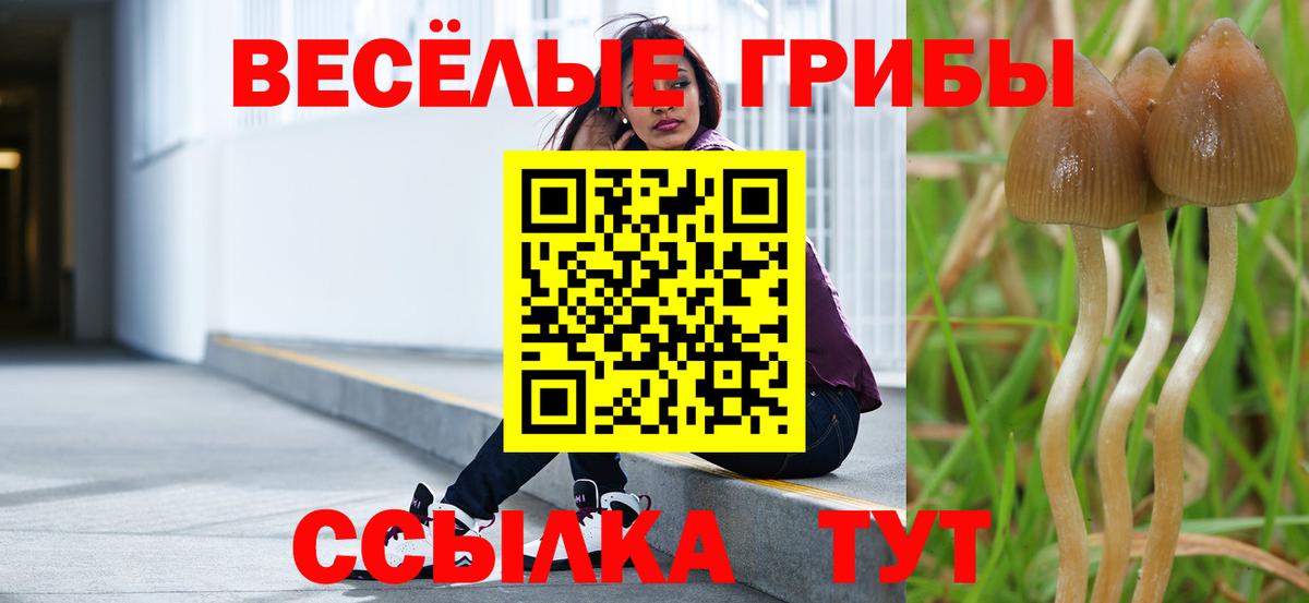 Галлюциногенные грибы MAGIC MUSHROOMS  Вход с VPN  Лиски 