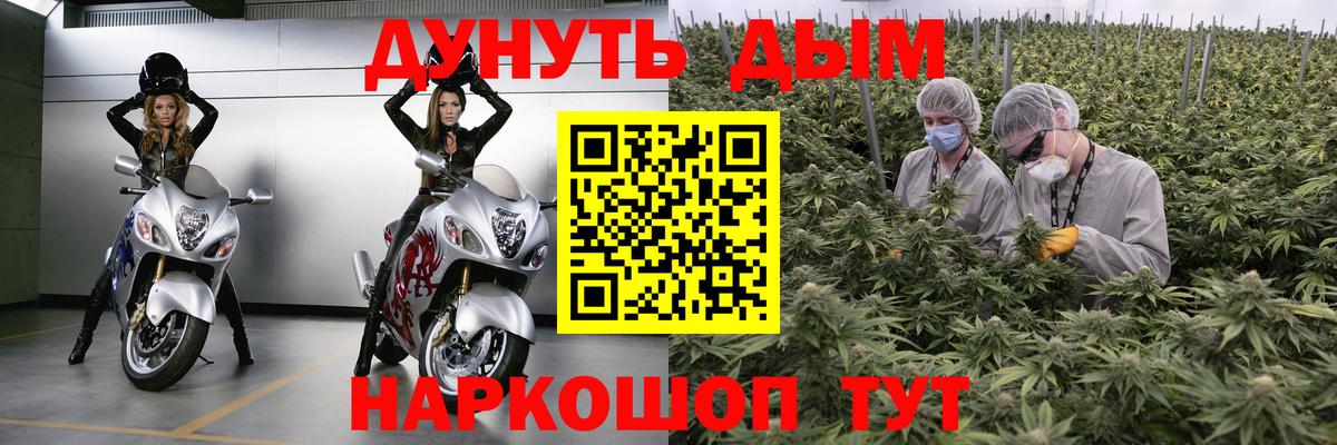 Шишки марихуана гибрид  Вход с VPN  Бошки Шишки SATIVA & INDICA  Лиски  Каннабис планчик 